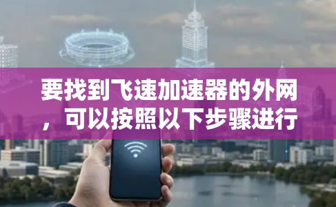 要找到飞速加速器的外网，可以按照以下步骤进行