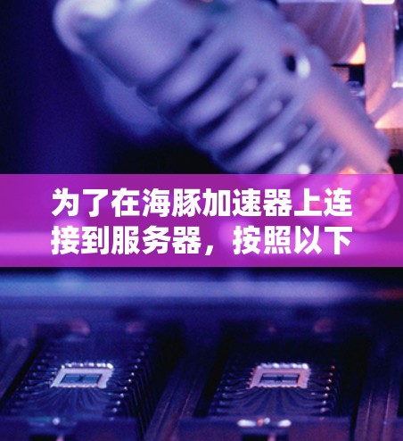 为了在海豚加速器上连接到服务器，按照以下步骤进行操作