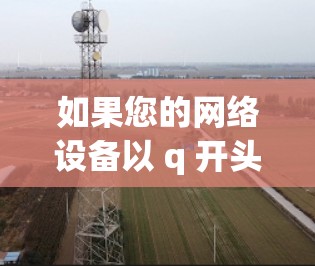 如果您的网络设备以 q 开头，并且您需要外网加速器来解决网速过慢的问题，可能存在以下几种情况