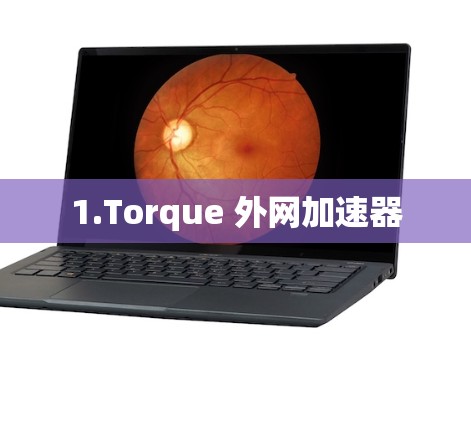 1.Torque 外网加速器 1.Torque 外网加速器