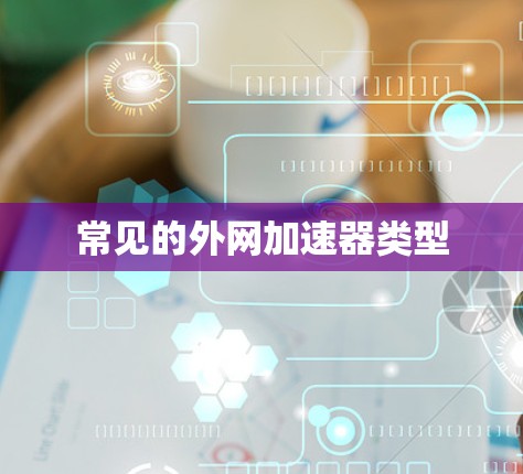 常见的外网加速器类型