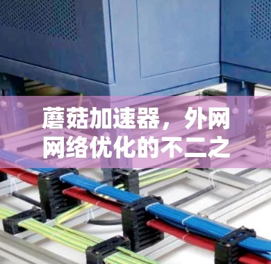 蘑菇加速器,外网网络优化的不二之选 蘑菇加速器,外网网络优化的不二之选
