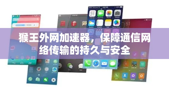 猴王外网加速器，保障通信网络传输的持久与安全