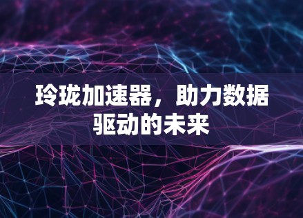 玲珑加速器，助力数据驱动的未来