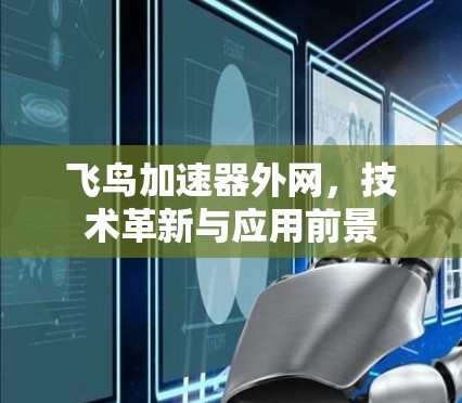 飞鸟加速器外网,技术革新与应用前景 飞鸟加速器外网,技术革新与应用前景