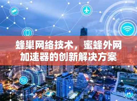 蜂巢网络技术，蜜蜂外网加速器的创新解决方案