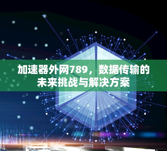 加速器外网789，数据传输的未来挑战与解决方案