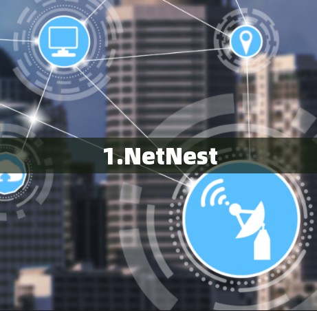 1.NetNest
