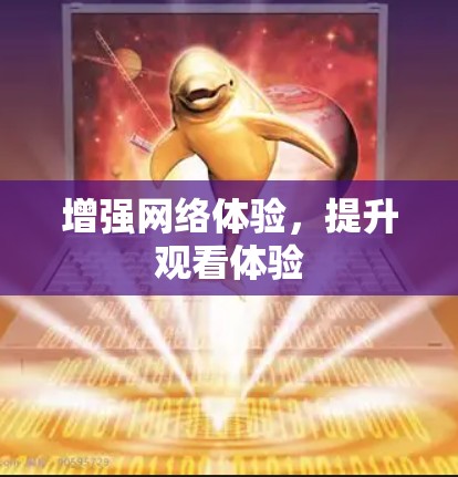 增强网络体验，提升观看体验