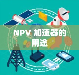 NPV 加速器的用途