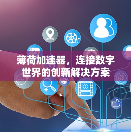 薄荷加速器，连接数字世界的创新解决方案
