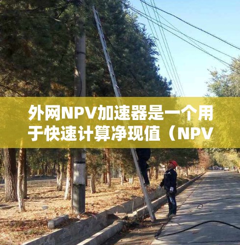 外网NPV加速器是一个用于快速计算净现值（NPV）的工具或方法，尤其是在外网环境下进行NPV计算时。外网通常指网络，可能与NPV的计算工具或资源相关。以下是一些可能与外网NPV加速器相关的信息和建议