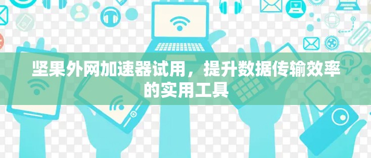 坚果外网加速器试用，提升数据传输效率的实用工具