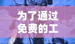 为了通过免费的工具提升网络速度，您可以尝试以下方法