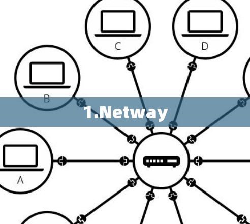 1.Netway