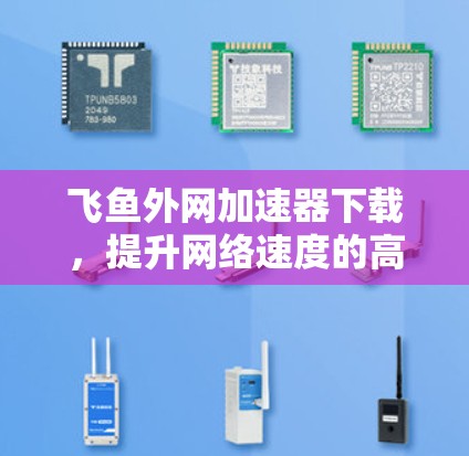 飞鱼外网加速器下载，提升网络速度的高效选择