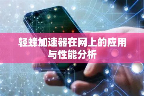 轻蜂加速器在网上的应用与性能分析