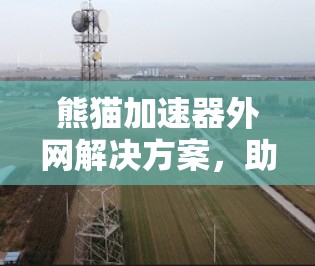 熊猫加速器外网解决方案，助力您的网络加速