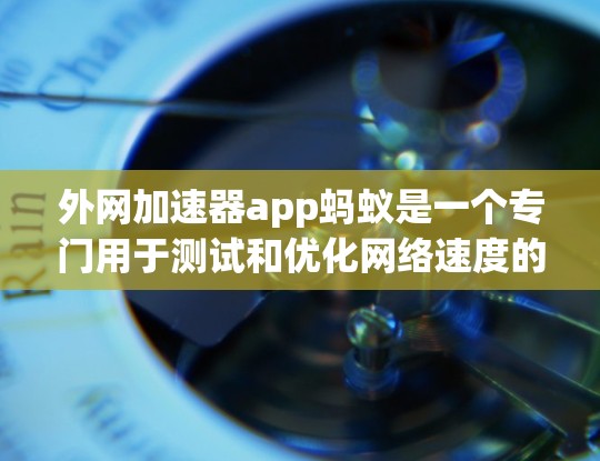 外网加速器app蚂蚁是一个专门用于测试和优化网络速度的工具。以下是关于蚂蚁加速器的详细介绍