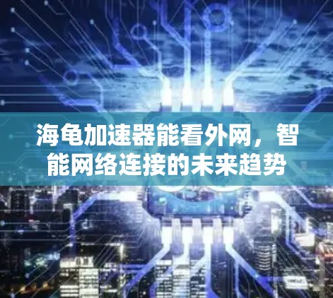 海龟加速器能看外网，智能网络连接的未来趋势