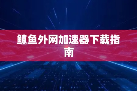 鲸鱼外网加速器下载指南