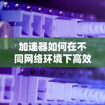 加速器如何在不同网络环境下高效运行？全面解析支持外网的配置与使用技巧