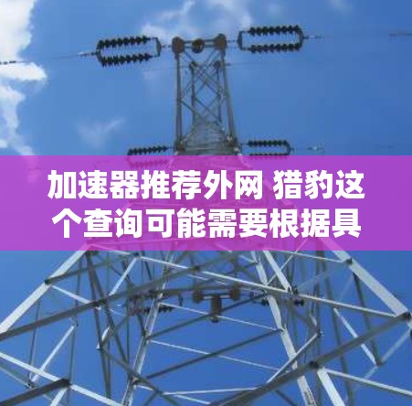 加速器推荐外网 猎豹这个查询可能需要根据具体车型和用途来推荐。以下是一些建议，假设您指的是猎豹跑车或相关车型