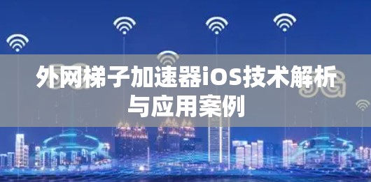 外网梯子加速器iOS技术解析与应用案例
