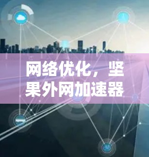 网络优化，坚果外网加速器破解技术解析