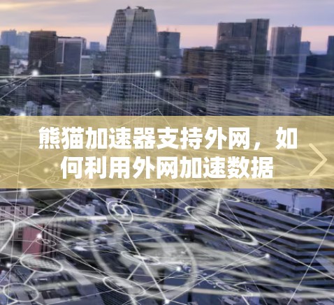 熊猫加速器支持外网，如何利用外网加速数据
