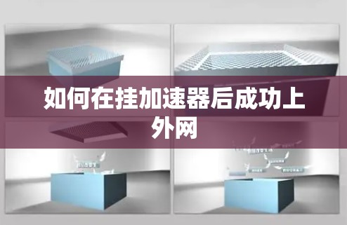 如何在挂加速器后成功上外网