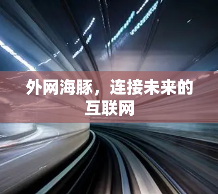外网海豚,连接未来的互联网 外网海豚,连接未来的互联网