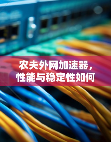 农夫外网加速器,性能与稳定性如何? 农夫外网加速器,性能与稳定性如何?
