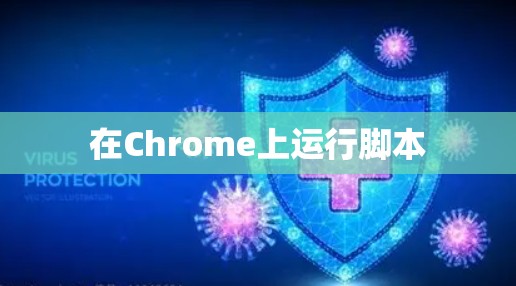 在Chrome上运行脚本 在Chrome上运行脚本