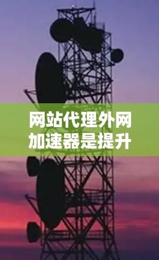 网站代理外网加速器是提升网站性能的重要工具，以下是详细的使用指南
