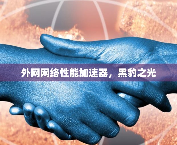 外网网络性能加速器,黑豹之光 外网网络性能加速器,黑豹之光