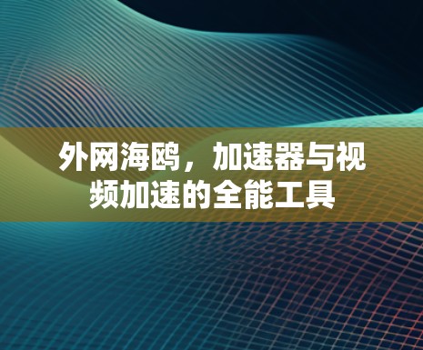 外网海鸥,加速器与视频加速的全能工具 外网海鸥,加速器与视频加速的全能工具