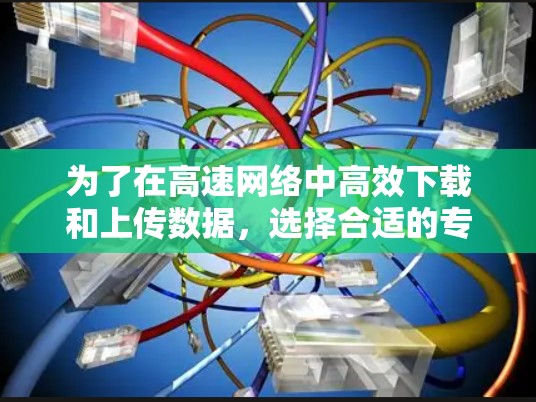 为了在高速网络中高效下载和上传数据,选择合适的专用外网加速器至关重要。以下是对专用外网加速器的详细分析和推荐 为了在高速网络中高效下载和上传数据,选择合适的专用外网加速器至关重要。以下是对专用外网加速器的详细分析和推荐