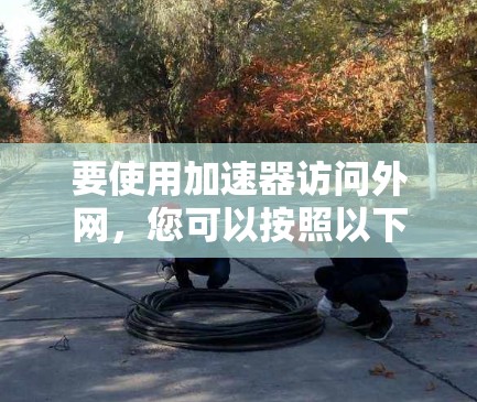 要使用加速器访问外网，您可以按照以下步骤操作