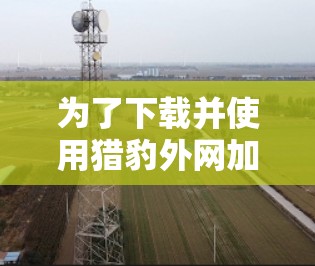 为了下载并使用猎豹外网加速器，您可以按照以下步骤进行