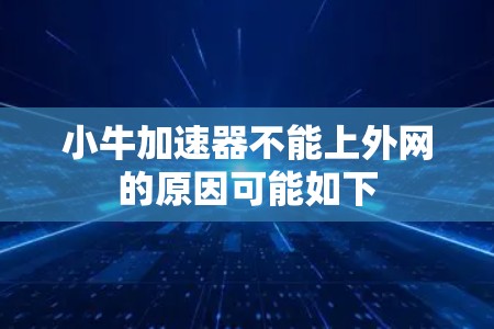 小牛加速器不能上外网的原因可能如下 小牛加速器不能上外网的原因可能如下