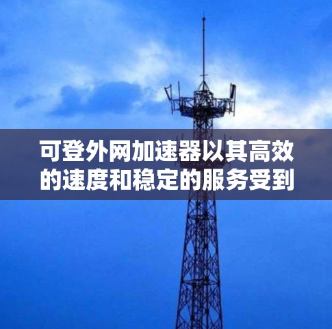 可登外网加速器以其高效的速度和稳定的服务受到用户的好评，以下是对其功能和优势的详细分析