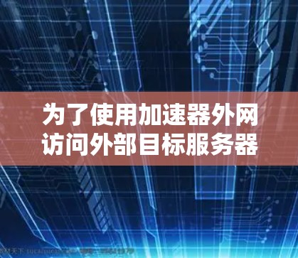 为了使用加速器外网访问外部目标服务器，按照以下步骤操作