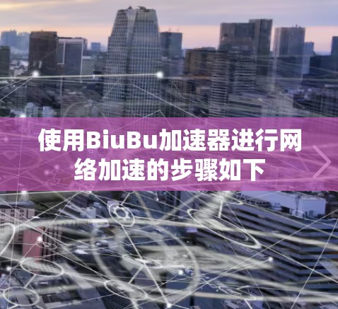 使用BiuBu加速器进行网络加速的步骤如下