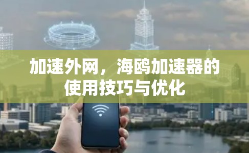 加速外网,海鸥加速器的使用技巧与优化 加速外网,海鸥加速器的使用技巧与优化