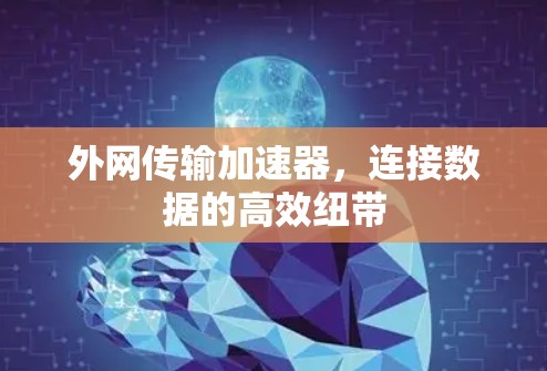 外网传输加速器，连接数据的高效纽带