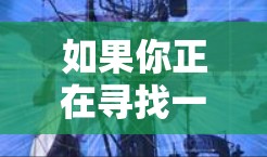 如果你正在寻找一种免费且功能广泛的加速器，同时支持不限时使用，以下是一些推荐的工具