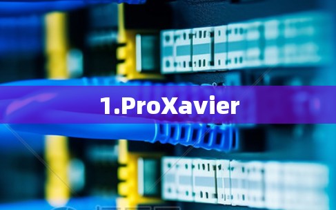 1.ProXavier