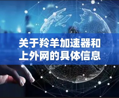 关于羚羊加速器和上外网的具体信息，可能存在不同的解释，因此需要明确以下几点