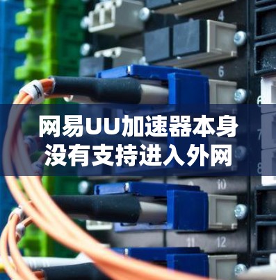 网易UU加速器本身没有支持进入外网的功能,它主要通过加速下载的速度来帮助用户。然而,如果你需要访问网易UU,可以通过以下步骤实现 网易UU加速器本身没有支持进入外网的功能,它主要通过加速下载的速度来帮助用户。然而,如果你需要访问网易UU,可以通过以下步骤实现